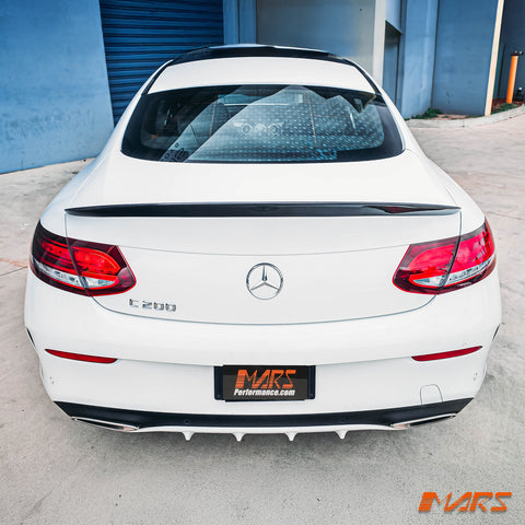 C205-AMG-TS-CBN-DS-14.jpg