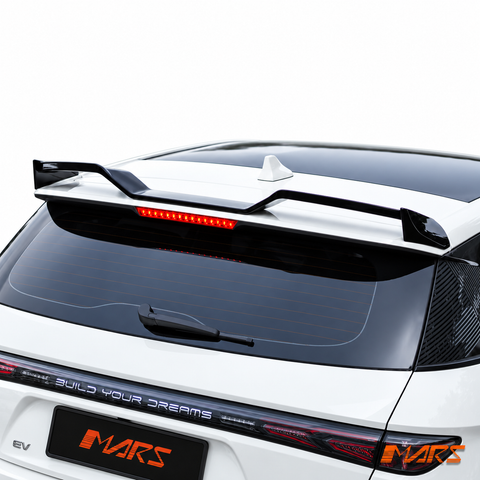 DOLPHIN-22-RS-GB-CRG-14.png