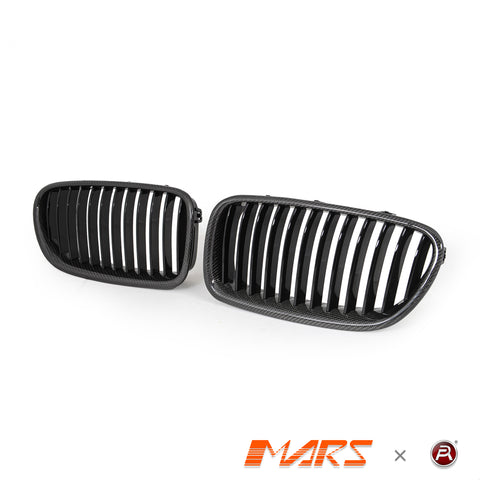 F10-MT-FG-CBN-DS-2.jpg