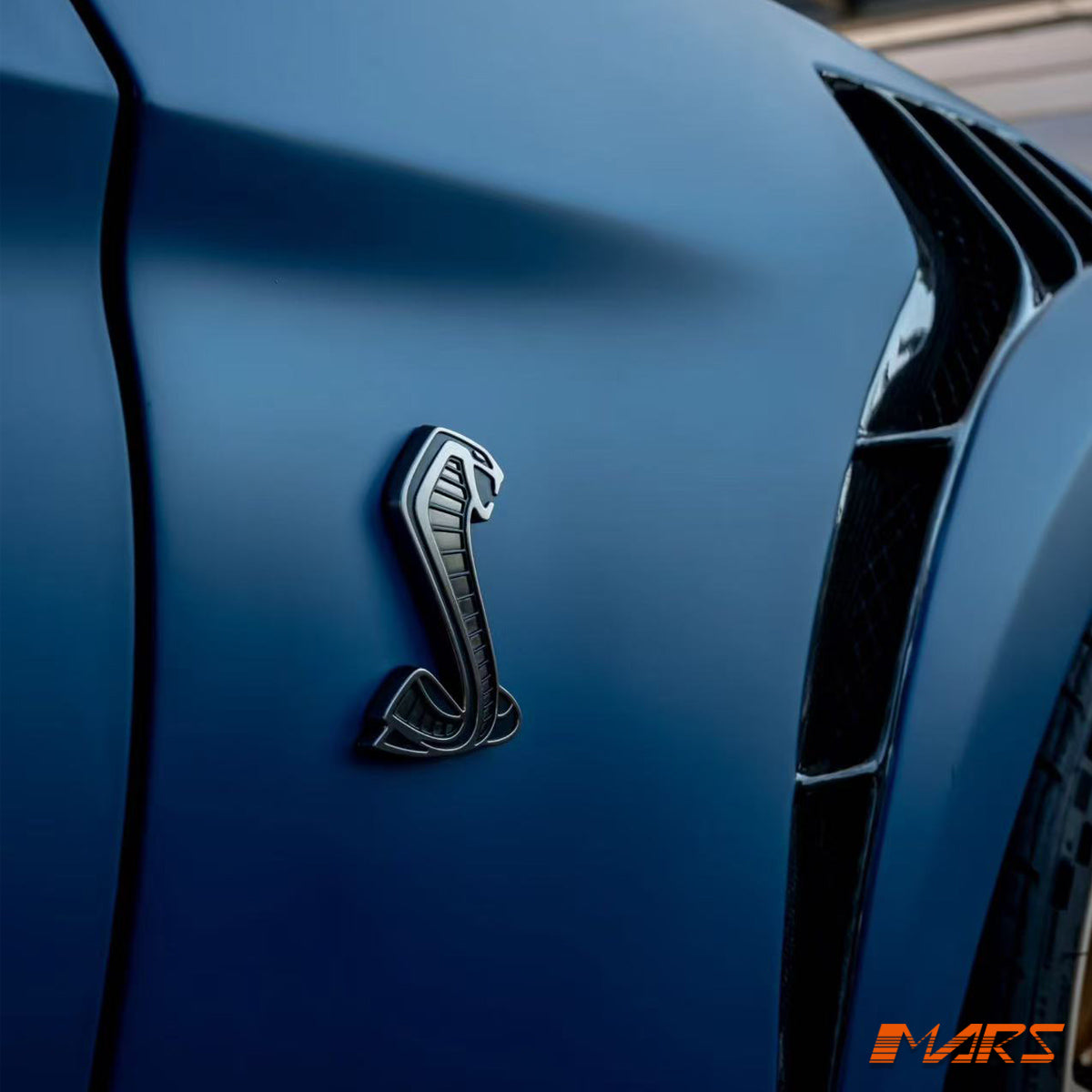 MUSTANG-FM-15-KR-12.jpg