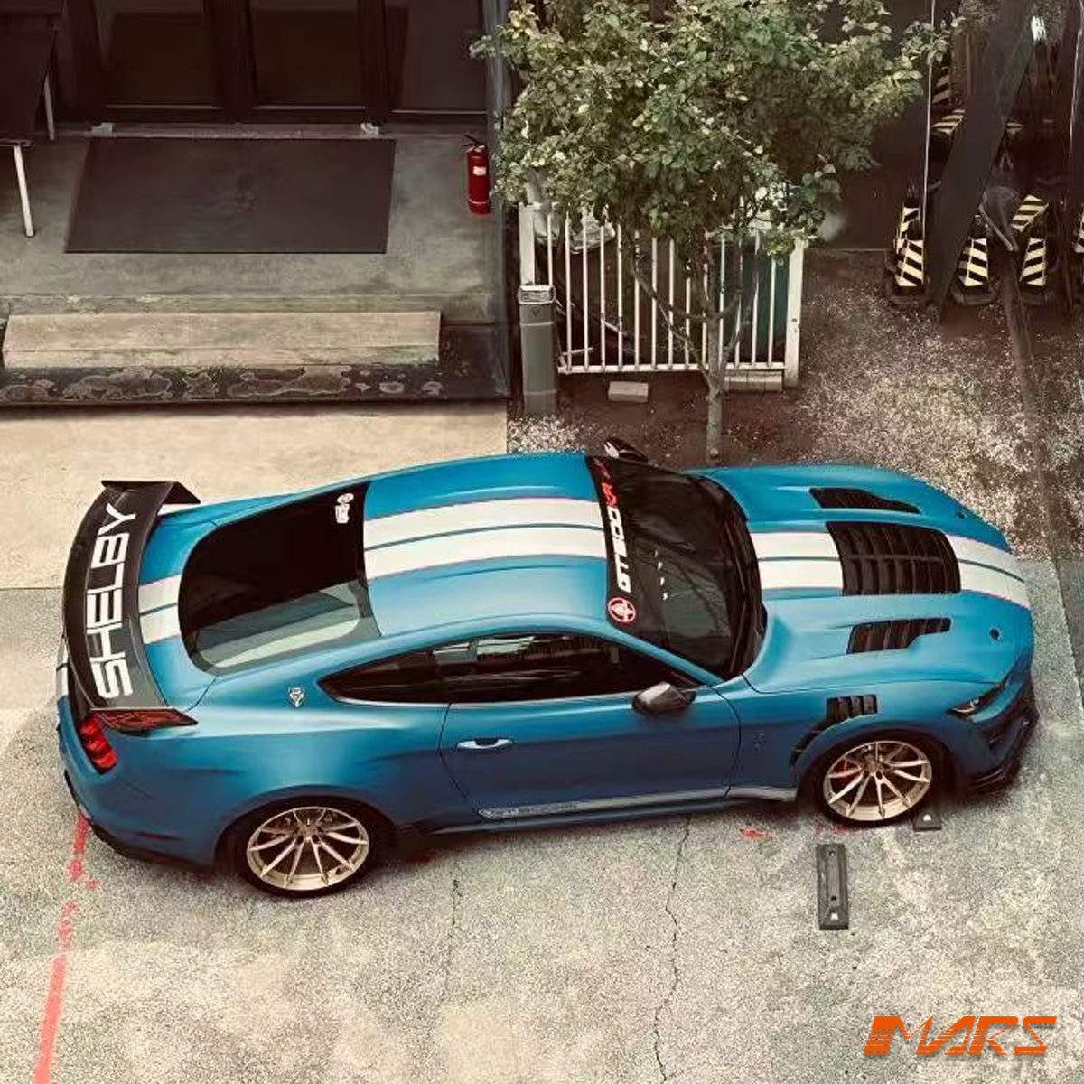 MUSTANG-FM-15-KR-24.jpg
