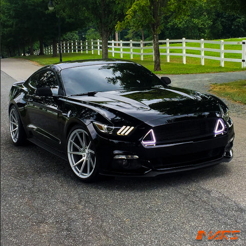 MUSTANG-FM-RTR-FG-DRL-BF-15.jpg