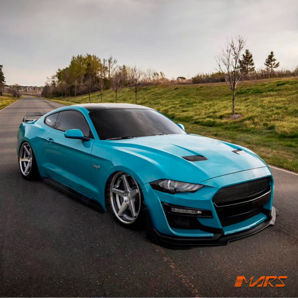 MUSTANG-FN-18-GT500-FB-BF-18.jpg