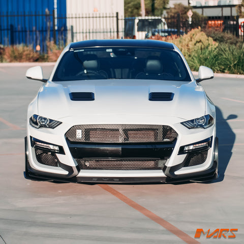 MUSTANG-FN-GT500-FB-BF-11.jpg