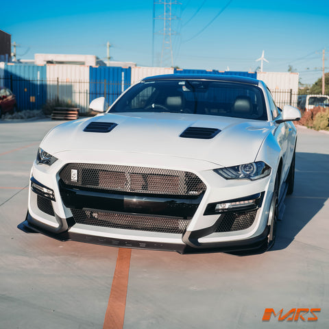MUSTANG-FN-GT500-FB-BF-14.jpg