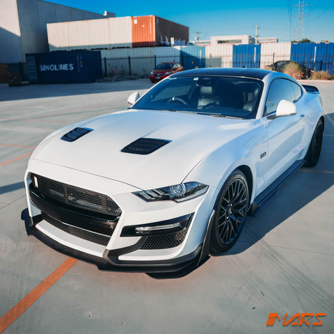 MUSTANG-FN-GT500-FB-BF-17.jpg