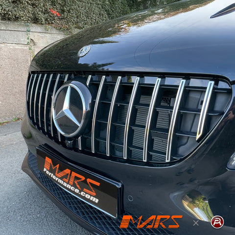 W447-V-S2-19-GT-FG-CB-FS-14.jpg
