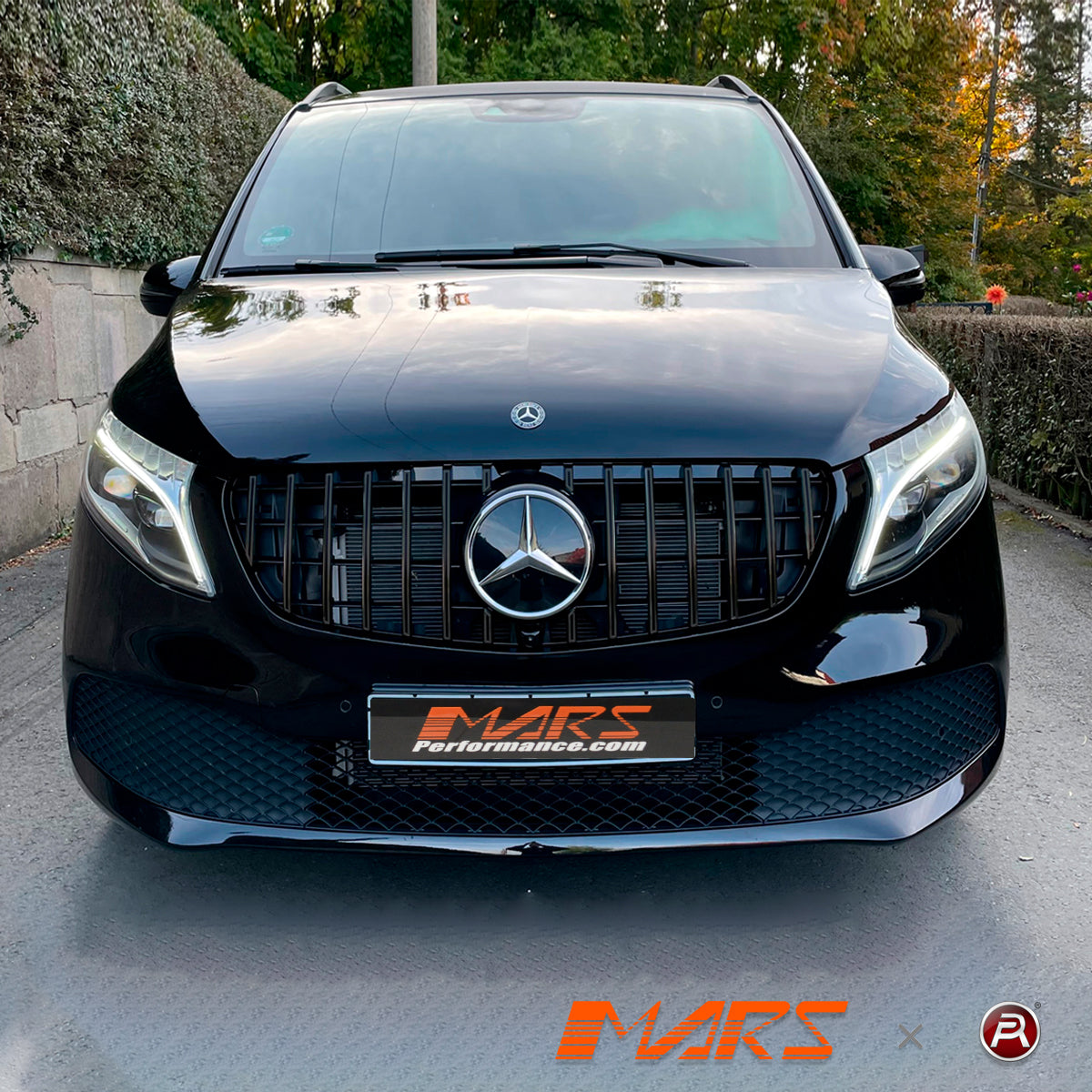 W447-V-S2-19-GT-FG-GB-FS-13.jpg