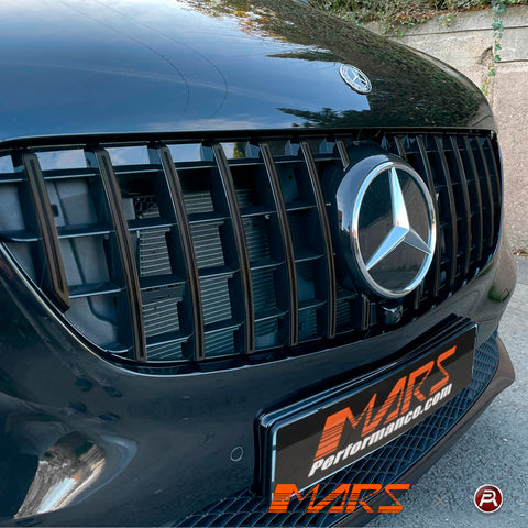W447-V-S2-19-GT-FG-GB-FS-14.jpg