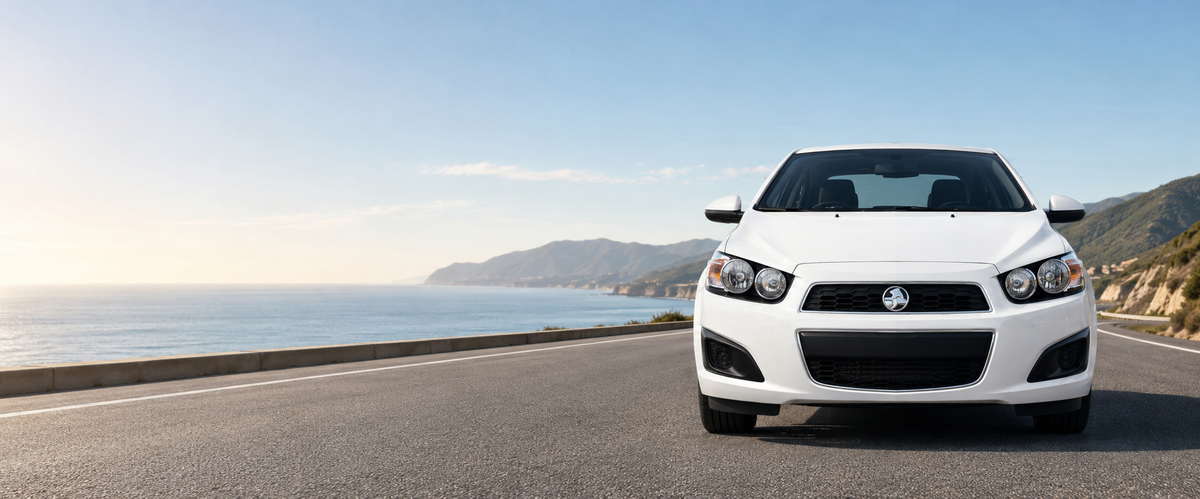 Barina